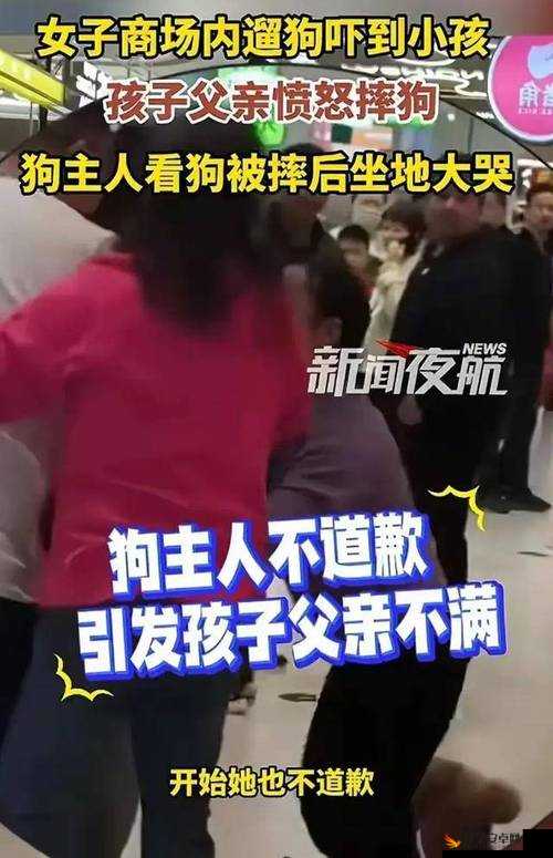 啊哈哈哈哈主人我错了：一段令人捧腹又反思的道歉之旅